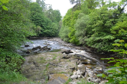 circular walk Cotherstone Romaldkirk River Tees Co. Durham, England