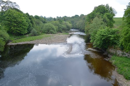 circular walk Cotherstone Romaldkirk River Tees Co. Durham, England