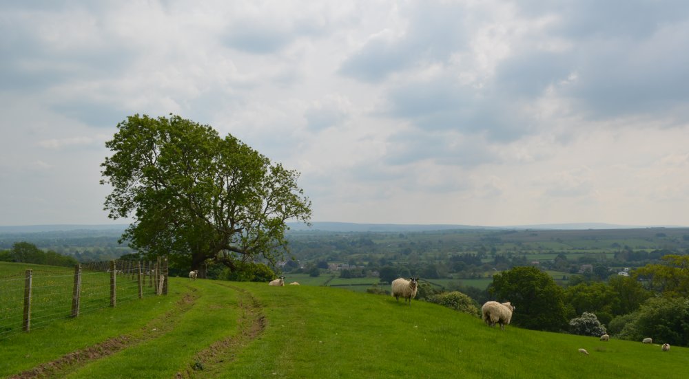 Beautiful wide views south towards Cotherstone from above Shipley Woodcircular walk Cotherstone Romaldkirk River Tees Co. Durham, England