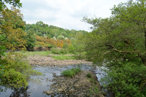 circular walk Cotherstone Romaldkirk River Tees Co. Durham, England
