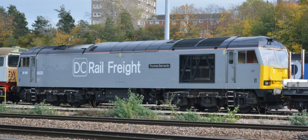 DC Rail Freight diesel-electric Class 60 locomotive 60055 named Thomas Barnardo, grey livery, in yard of UK Rail Leasing, Leicester