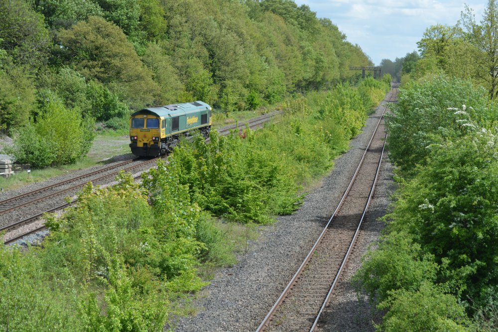 Class 66 diesel-electric locomotive 66563 in green Freightliner livery, surrounded by green trees!, travelling light at Blaby Bridge, Wigston, southwest of Leicester (May 10th 2022)