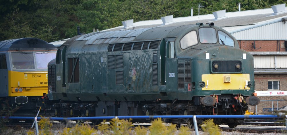 A still rather dilapidated Class 37 diesel-electric locomotive D6836 in the yard of UK Rail Leasing, Leicester (August 2022)