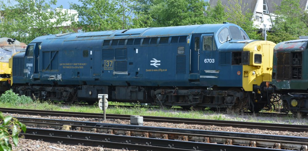 In the yard of UK Rail Leasing Leicester, Class 37 diesel locomotive 37003 D6703, built at the Vulcan Foundry in 1959