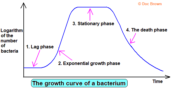 sigmoid growth graph for binary fission in Microorganism reproduction of bacteria