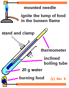 burning a lump of food calorimetry experiment investigation gcse biology igcse