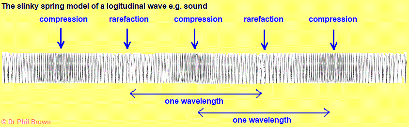 making a longitudinal wave by pushing and pulling a slinky spring making it pulsate pulsations gcse physics igcse