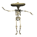 calcium1.gif