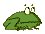 frog1.jpg