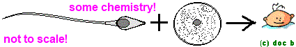 fusionbaby.gif