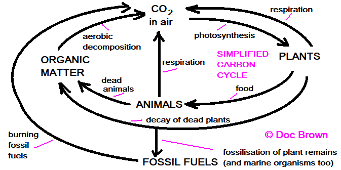 c-cycle-simple.gif