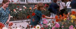 garden.jpg