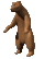 bear1.gif