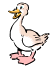 duck1.gif