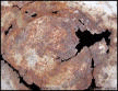 rusting1.gif
