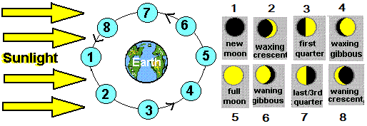 Phases of the moon waxing waning as seen from Earth
