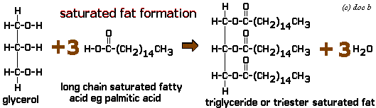formation of a saturated fat triglyceride glycerol plus three saturated fatty acids structural formula equation