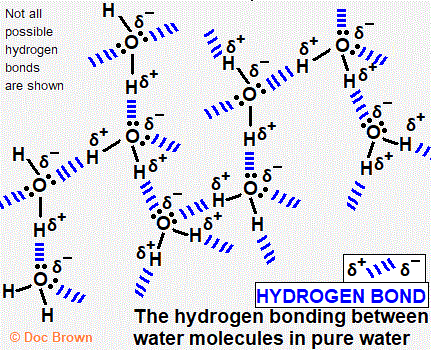diagram of intermolecular hydrogen bonding forces between liquid water molecules doc brown A level chemistry revision notes