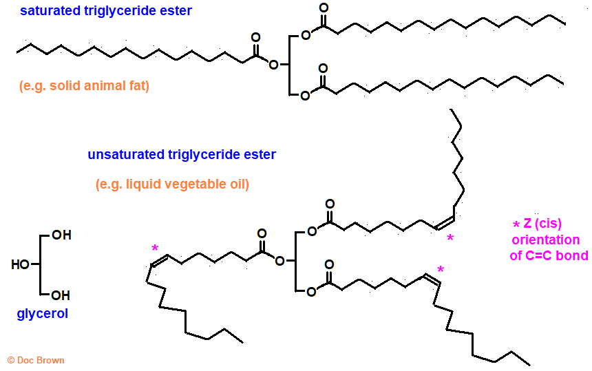 comparing the molecular structure skeletal formula of a saturated trigylceride ester animal fat with an unsaturated triglyceride ester from vegetable oil