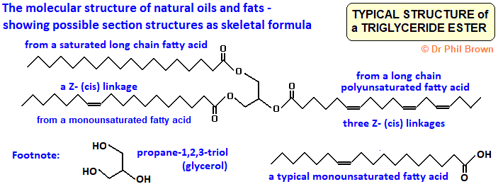 molecular skeletal structure of triglyceride esters saturated unsaturated fatty acids fats oils Z isomers advanced A level organic chemistry doc brown's revision notes