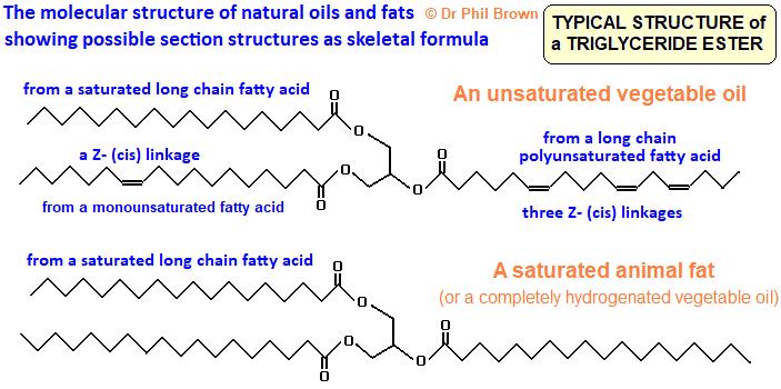 comparing the skeletal formulae of an unsaturated vegetable oil and saturated animal fat advanced A level organic chemistry doc brown's revision notes