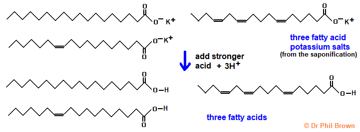 skeletal formula equation showing the freeing of a fatty acid from its sodium/potassium salt by adding a stronger acid from hydrolysis of triglyceride fat