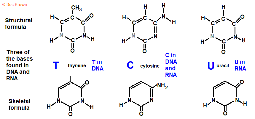 structural formula thymine cytosine uracil skeletal formula molecular structure of thymine cytosine uracil