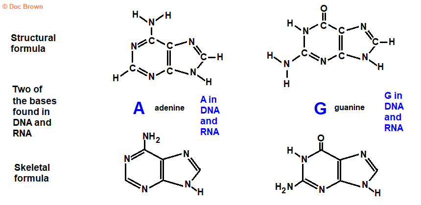 structural formula adenine guanine skeletal formula molecular structure of adenine guanine