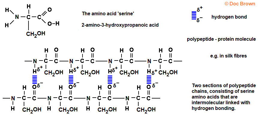 polypeptide protein molecule of serine in silk peptide linkage molecular structure of 2-amino-3-hydroxypropanoic acid amino acid structural formula