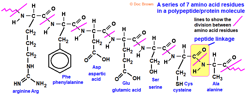 diagram is to show you how to read the sequence of amino acid residues in a polypeptide and identify the original amino acid molecular structure from the protein structure