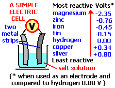 SimpleCell.gif