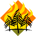 rising temperatures - more risk of forest fires and drought rising temperatures - more risk of forest fires and drought